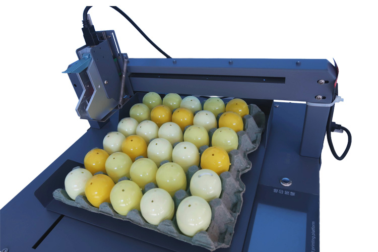 Kelier KX140 (Impresora de huevos) - Imagen 2