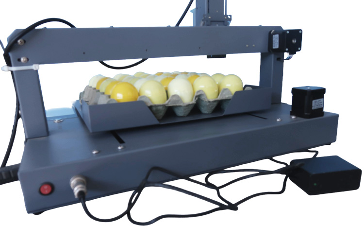 Kelier KX140 (Impresora de huevos) - Imagen 3